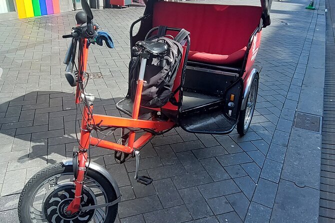 1 Hour Private Amsterdam Rickshaw Tour - Why a rickshaw works well in central Amsterdam
