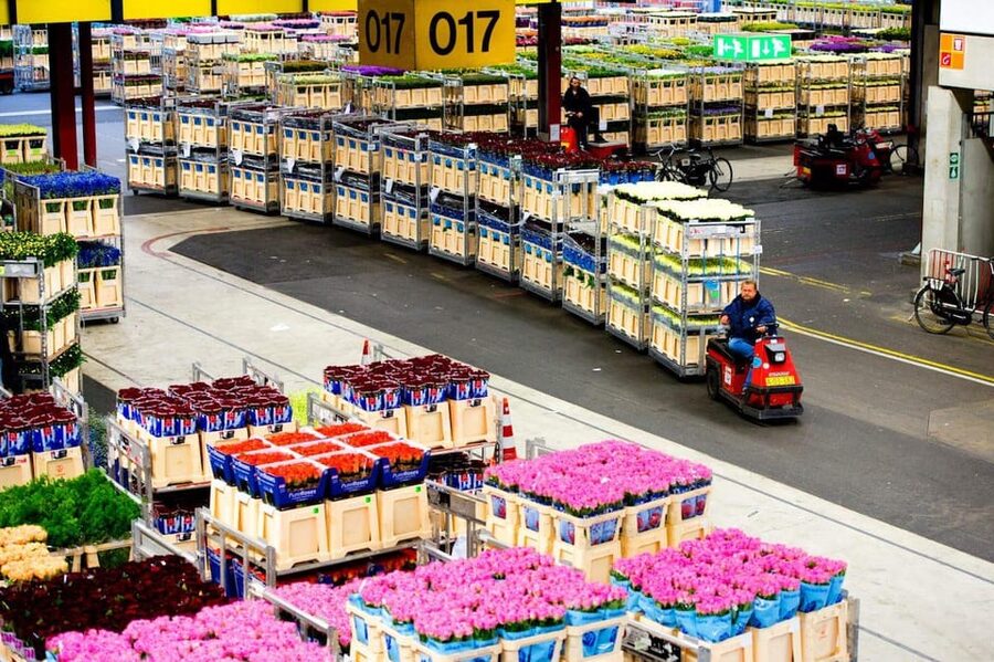Aalsmeer: Flower Auction Royal Flora Holland Entry Ticket - What the audio guide adds