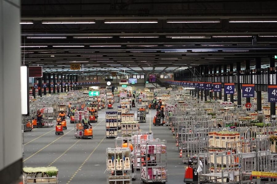Aalsmeer: Flower Auction Royal Flora Holland Entry Ticket - Who will enjoy this most?