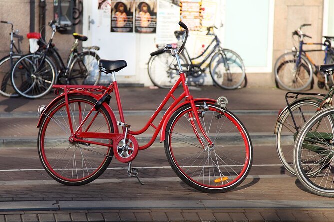Alternative Tour Amsterdam | Drugs Story, Street Art & More - Starting at Dam Square and the Royal Palace