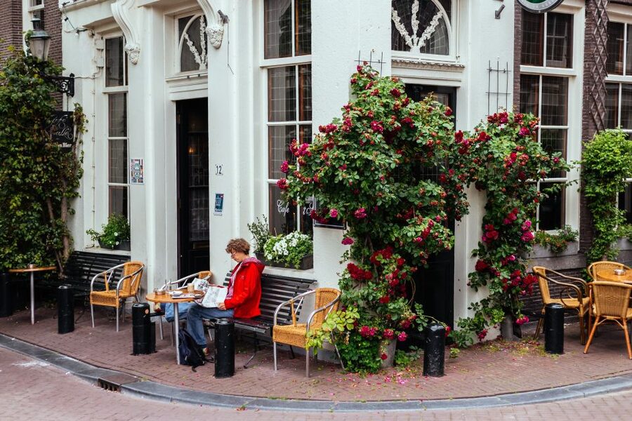 Amsterdam: 1.5-Hour Private Kick-Start Tour with a Local - Who will get the most from this walk
