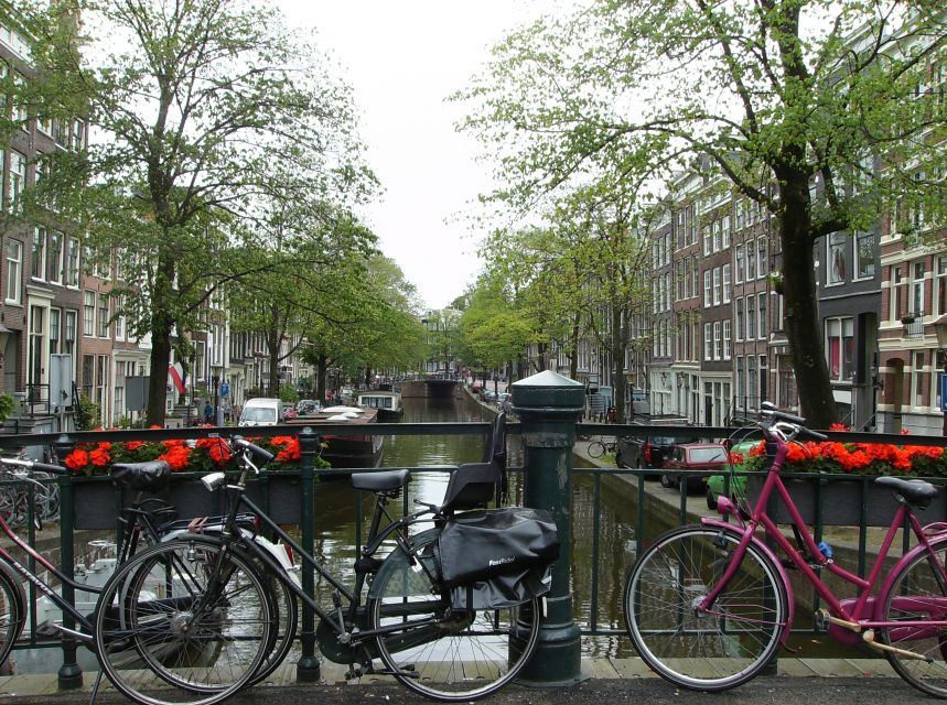Amsterdam 1-Hour Rickshaw Tour - A private route instead of a fixed sightseeing script