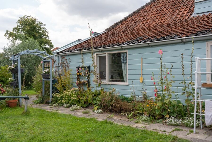 Amsterdam: 2-Hour Guided Canoe Trip - From village canals to open Dutch wetlands