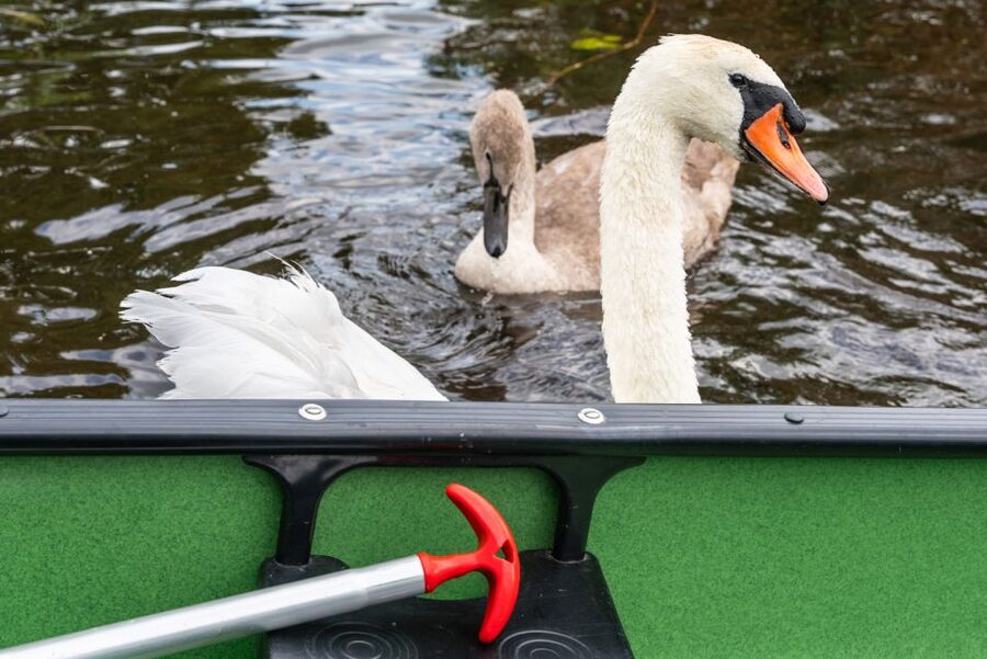 Amsterdam: 2-Hour Guided Canoe Trip - The halfway drink and the garden afterward