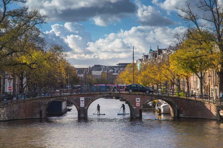 Amsterdam: 2-Hour Stand Up Paddle Board Tour - What the private format adds