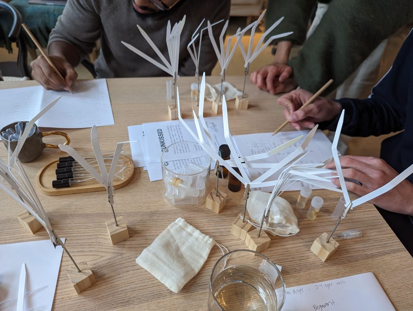 Amsterdam: 3-Hour Mindful Perfume-Making Workshop - Practical details before you reserve