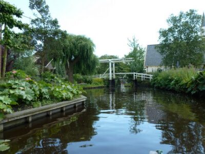 Amsterdam 5-Hour Guided Canoe Trip in the Wetlands