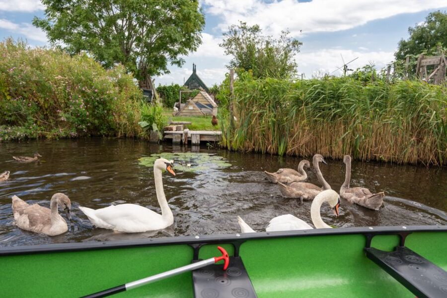 Amsterdam 5-Hour Guided Canoe Trip in the Wetlands - Windmills on the return paddle