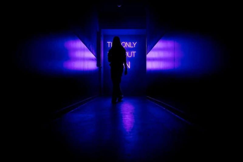 Amsterdam: AMAZE Immersive Audiovisual Experience Ticket - Who will enjoy AMAZE most