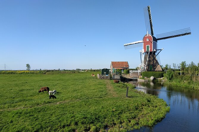 Amsterdam and Countryside Private Full-Day Tour by luxury car - Monnickendam and the organic farm tasting