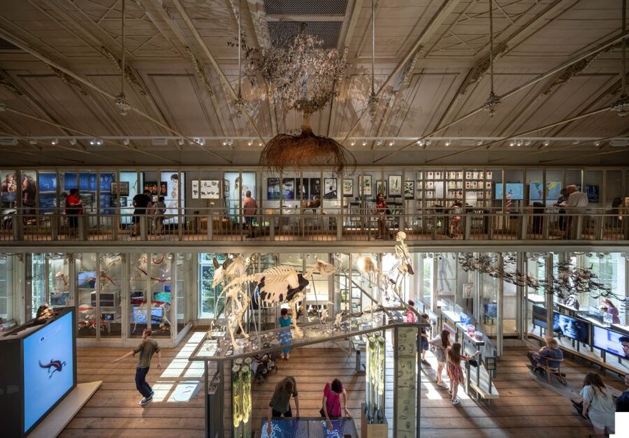 Amsterdam: ARTIS-Groote Museum Entry Ticket - Following the interactive route through nature