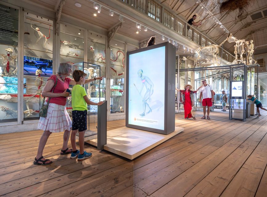 Amsterdam: ARTIS-Groote Museum Entry Ticket - What the $21 ticket includes, and what it does not