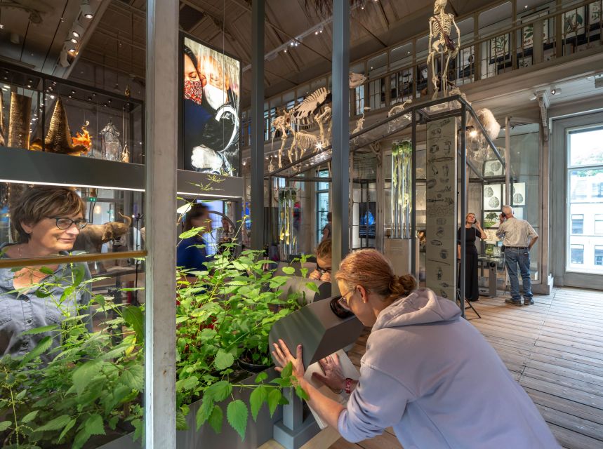Amsterdam: ARTIS-Groote Museum Entry Ticket - Who will enjoy this visit most?
