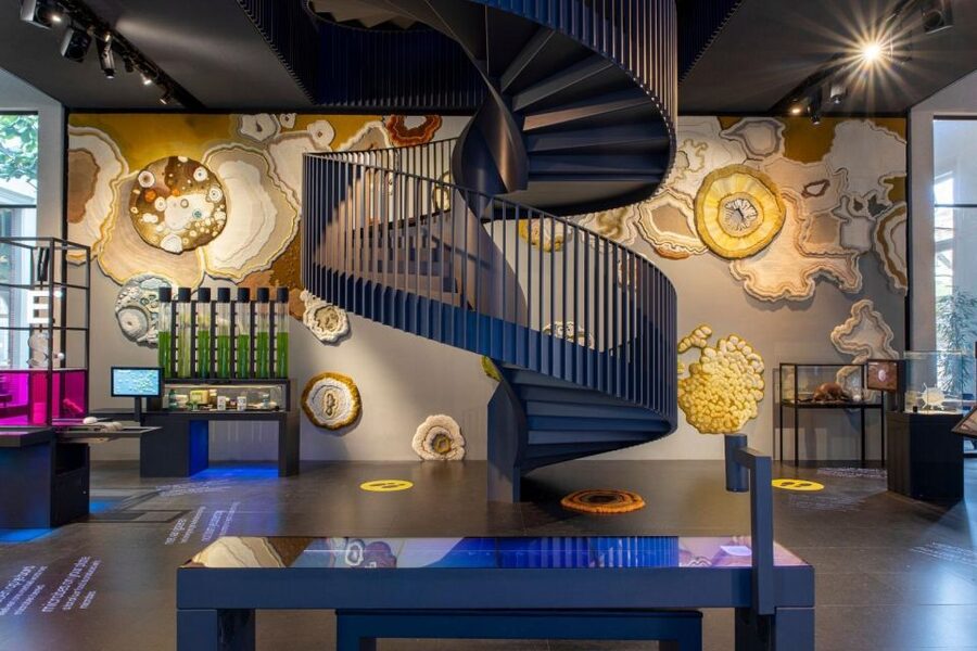 Amsterdam: ARTIS-Micropia Microbe Museum Entry Ticket - Why Microbes Make Good Museum Subjects