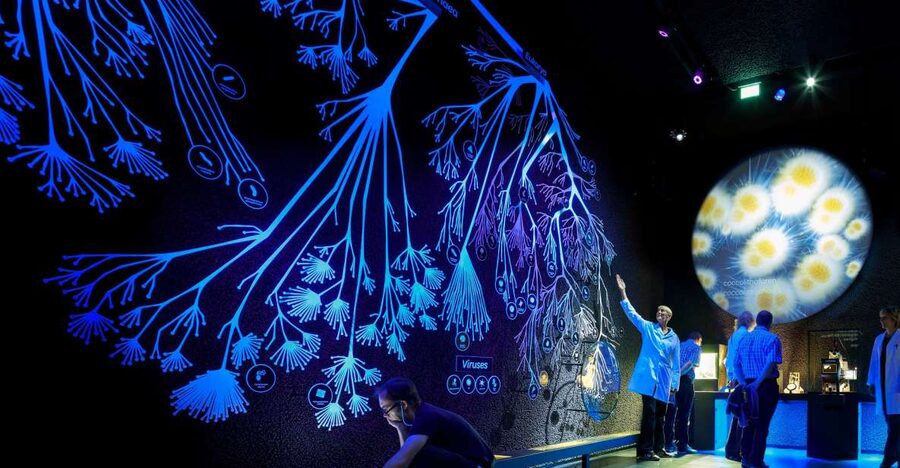 Amsterdam: ARTIS-Micropia Microbe Museum Entry Ticket - Combining Micropia With ARTIS Zoo and the Groote Museum