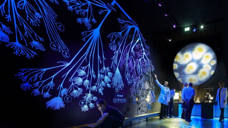 Amsterdam: ARTIS-Micropia Microbe Museum Entry Ticket - Staff, Languages, and Practical Comfort
