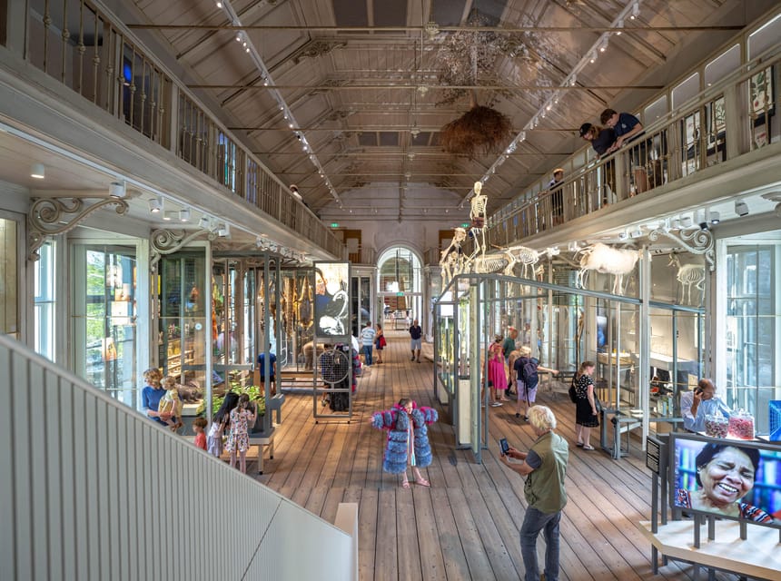 Amsterdam: ARTIS Royal Zoo and ARTIS Groote Museum Ticket - Lions, lemurs, turtles, and otters on the Madagascar route