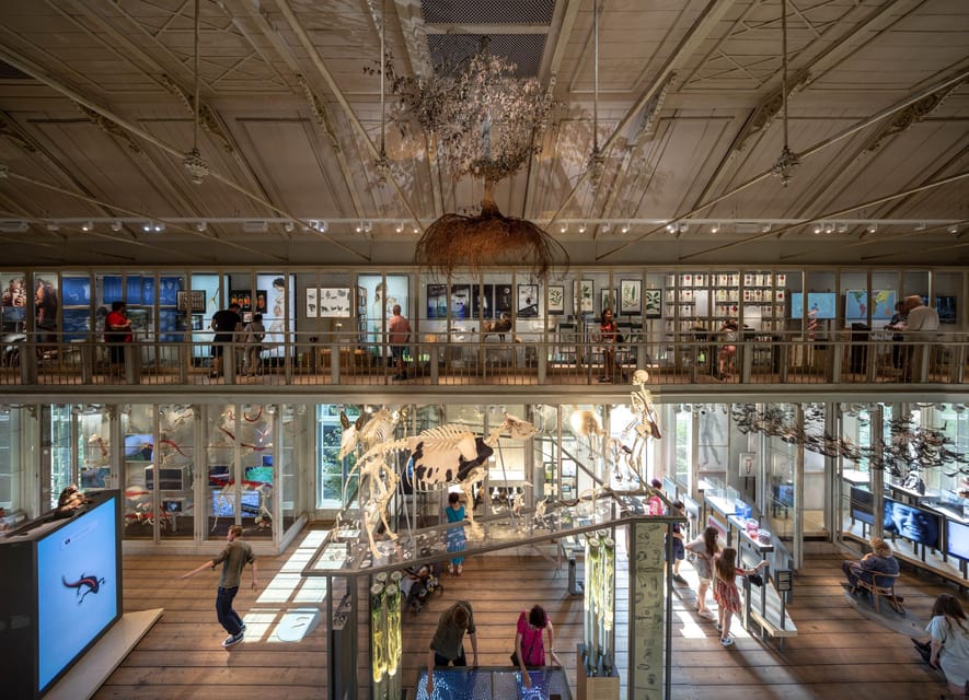 Amsterdam: ARTIS Royal Zoo and ARTIS Groote Museum Ticket - Fitting in the Planetarium