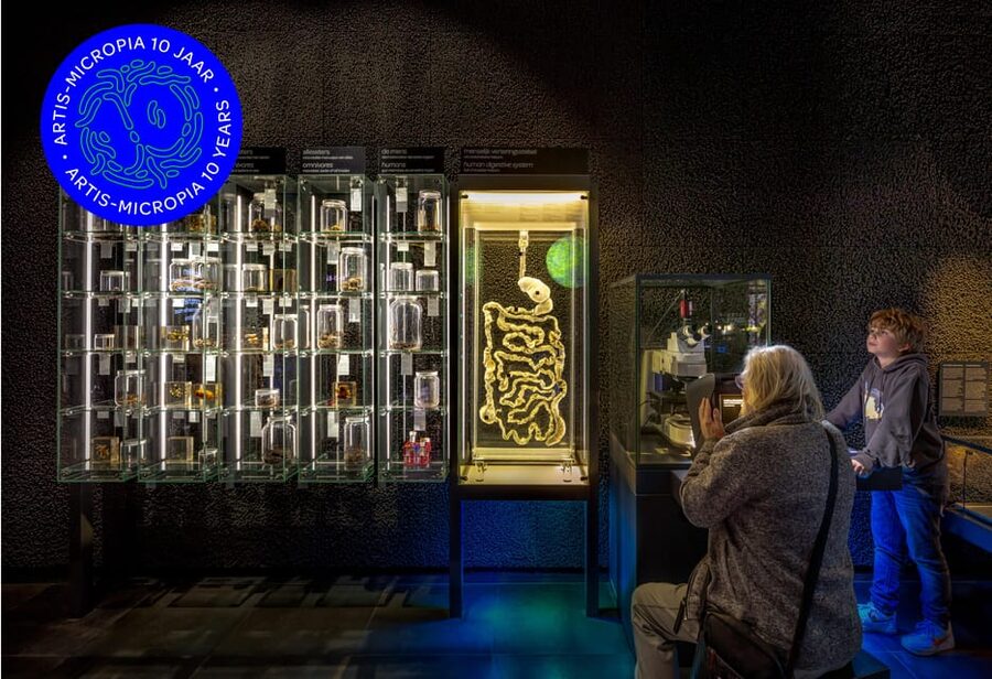 Amsterdam: Artis Royal Zoo & ARTIS-Micropia Combo Ticket - Who will enjoy this combo most?