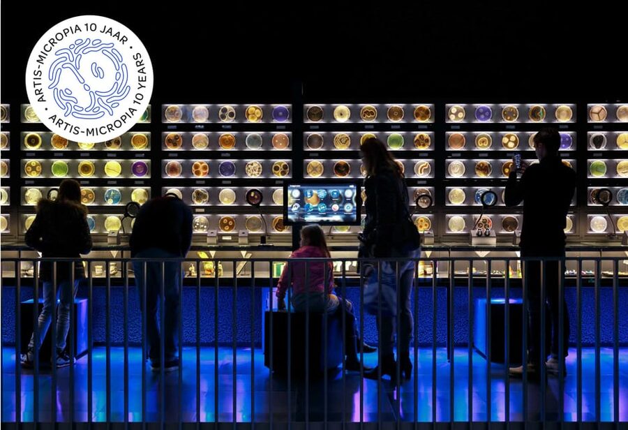 Amsterdam: Artis Royal Zoo & ARTIS-Micropia Combo Ticket - From Madagascar to otters, lemurs, and red pandas