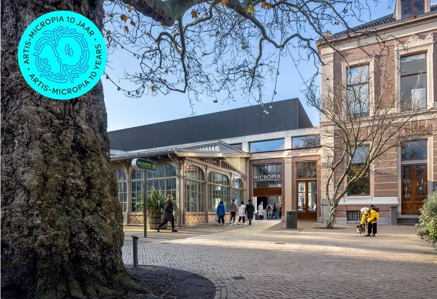 Amsterdam: Artis Royal Zoo & ARTIS-Micropia Combo Ticket - How to arrange the day without rushing