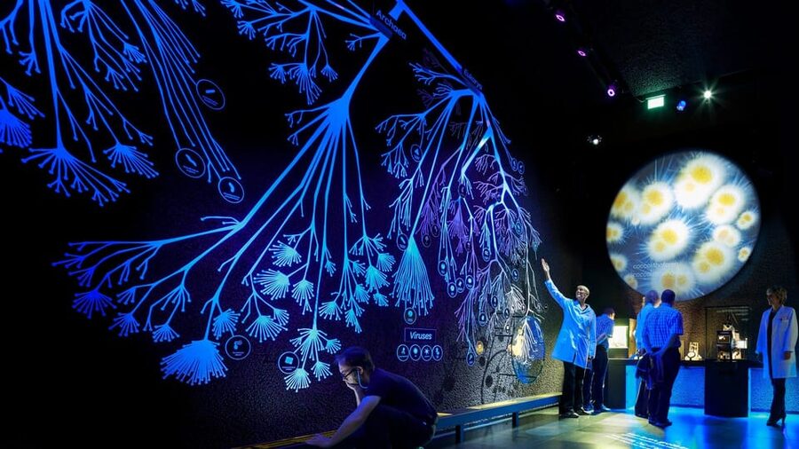 Amsterdam: Artis Royal Zoo & ARTIS-Micropia Combo Ticket - Is the $55 price good value?