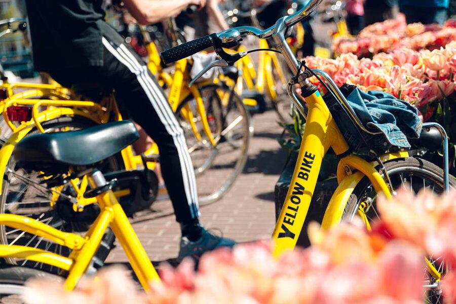 Amsterdam Bike Rental: Central Station & City Center - What the custom-made bikes are like