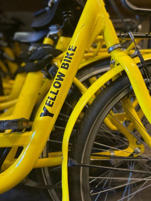 Amsterdam Bike Rental: Central Station & City Center - A city ride through Amsterdam’s historic streets