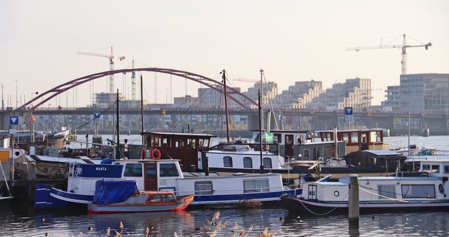 Amsterdam: Bike Tour (Noord) in German or English - English or German, with no mixed-language guiding