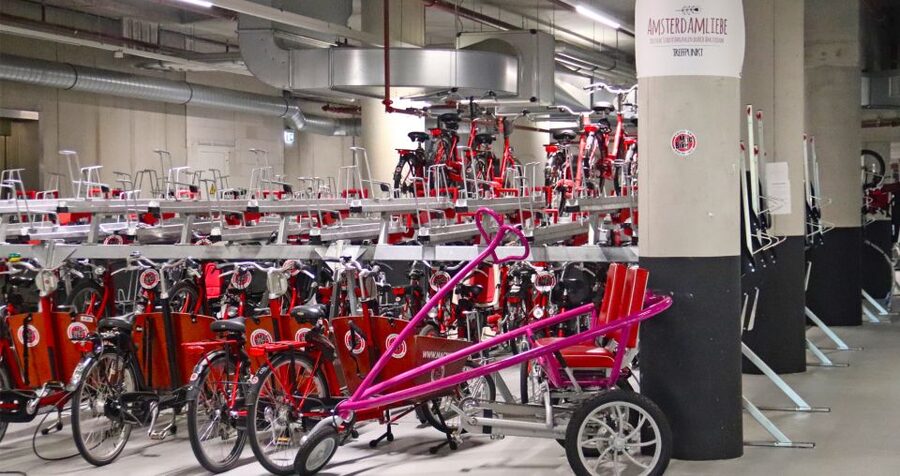 Amsterdam: Bike Tour (Noord) in German or English - What the private format means for families