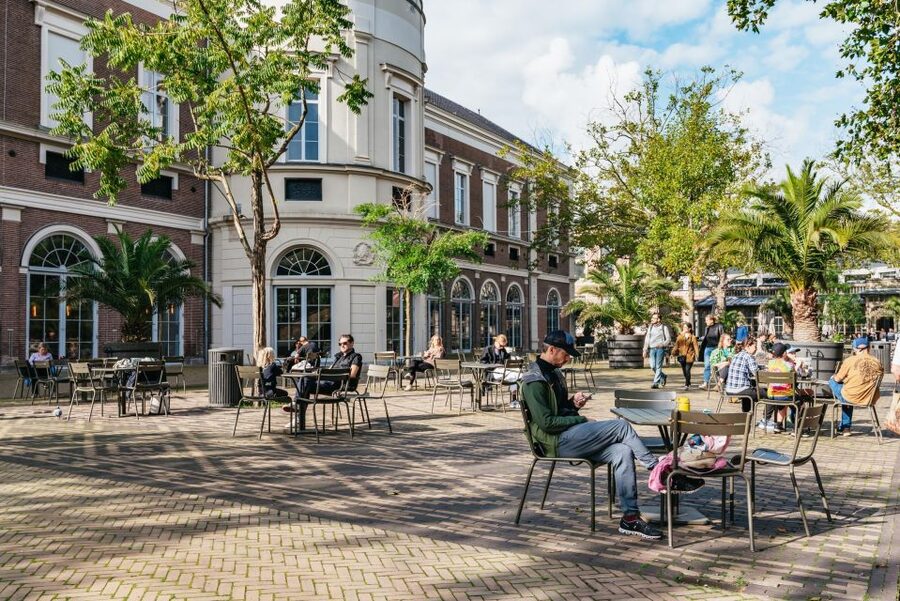 Amsterdam: Bike Tour with Optional Cruise in Small-Group - Artis Zoo and De Gooyer Windmill