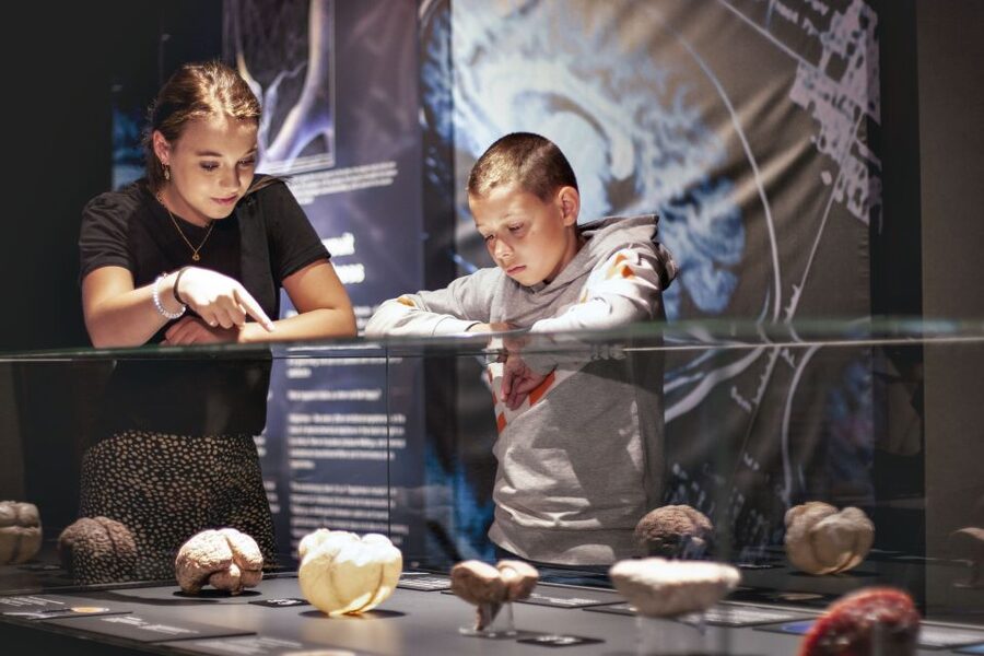 Amsterdam: Body Worlds Exhibition and Canal Cruise - Multilingual audio helps, but the Body Worlds guide costs extra