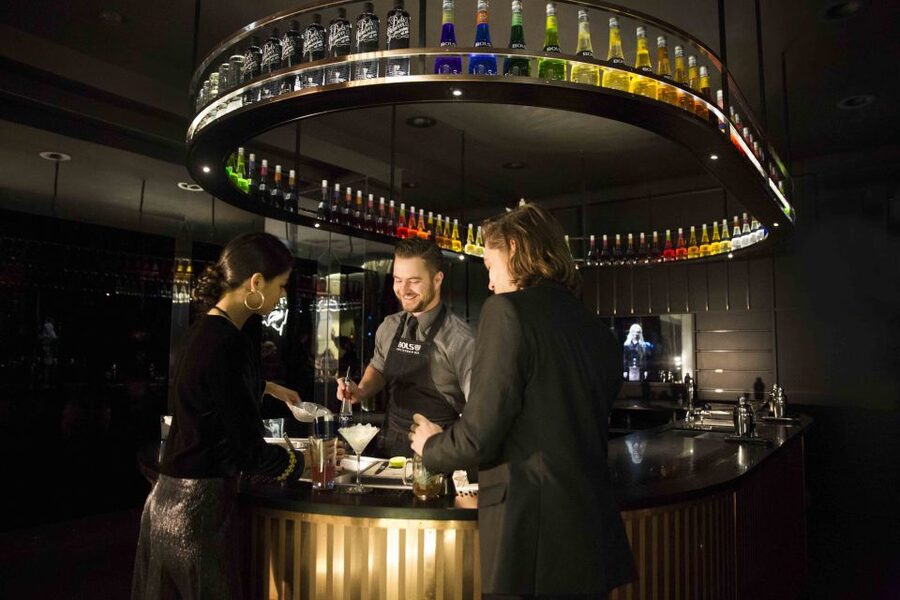 Amsterdam: Bols Cocktail Experience and Cocktail Workshop - Who will enjoy Bols most?