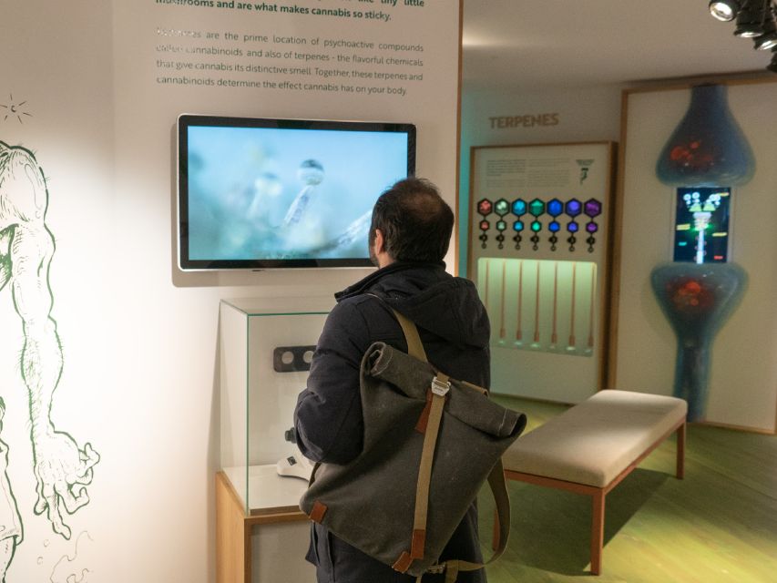 Amsterdam: Cannabis Museum Entry Ticket - What the Cannabis Museum actually offers