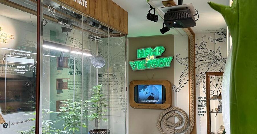 Amsterdam: Cannabis Museum Entry Ticket - Seeing live plants, a microscope, and testing equipment