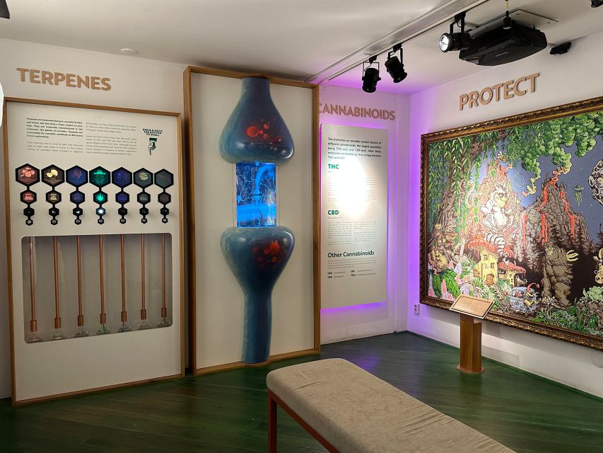 Amsterdam: Cannabis Museum Entry Ticket - The final floor and its unusual equipment