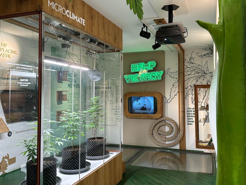 Amsterdam: Cannabis Museum Entry Ticket - Starting with cannabis origins and early use
