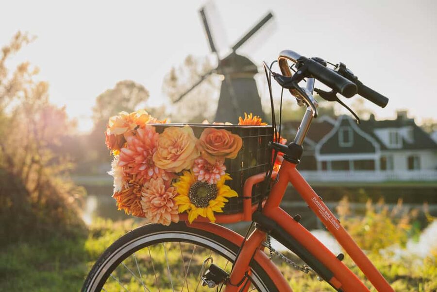 Amsterdam: Cheese, Windmill & Countryside Bike Tour - What the guide adds to the ride