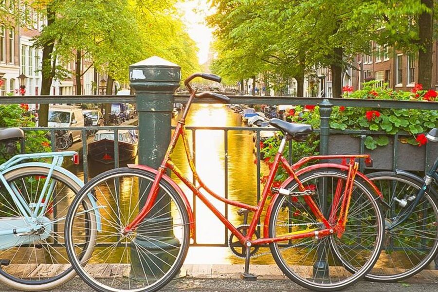 Amsterdam City Center Guided Walking Tour - 12 guests 2,5h - Key points to know before booking