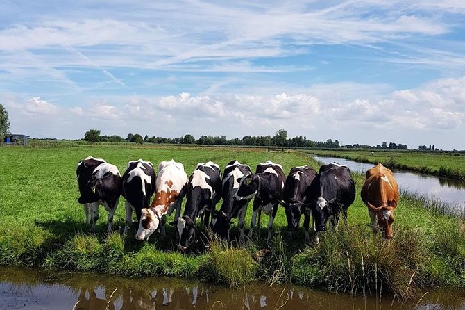 Amsterdam City & Countryside Tour: The Best of both Worlds - One hour among the windmills at Zaanse Schans