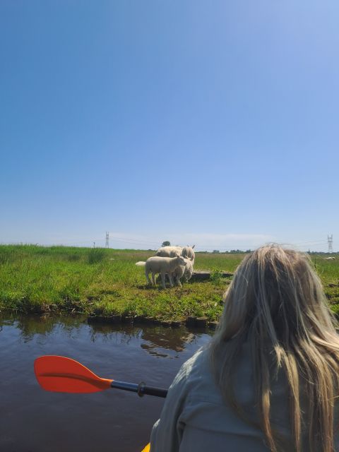 Amsterdam: Countryside Bike and Kayak Guided Tour - Key points to know before booking
