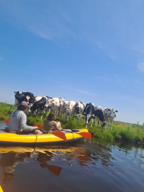 Amsterdam: Countryside Bike and Kayak Guided Tour - Practical details that affect your day