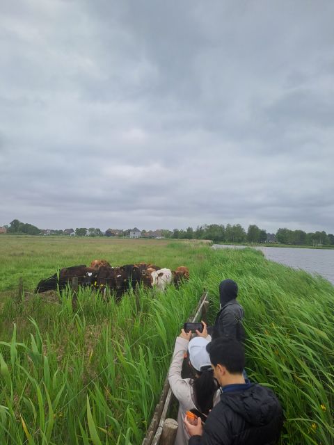 Amsterdam: Countryside Bike and Kayak Guided Tour - Why this bike and kayak tour feels different