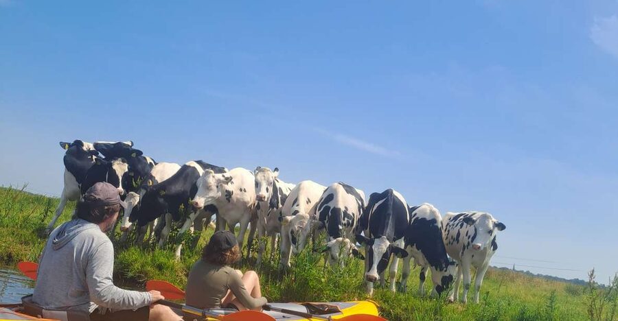 Amsterdam: Countryside Bike and Kayak Guided Tour - Cycling north toward d’Admiraal Windmill