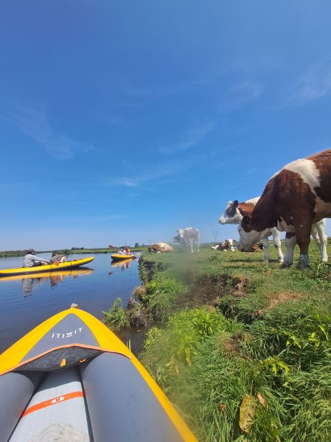 Amsterdam: Countryside Bike and Kayak Guided Tour - The one-hour pause for food and village life