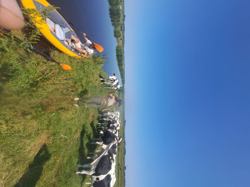 Amsterdam: Countryside Bike and Kayak Guided Tour - What the $84 price includes
