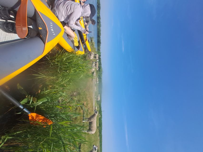 Amsterdam: Countryside Bike and Kayak Guided Tour - Who will enjoy it most