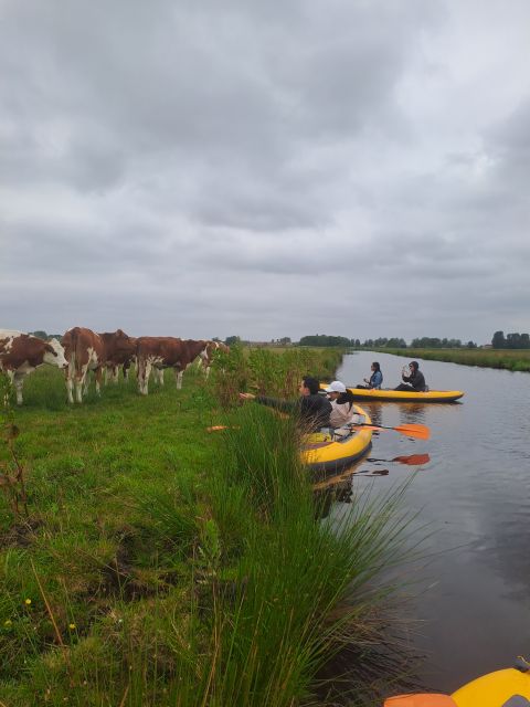 Amsterdam: Countryside Bike and Kayak Guided Tour - Meeting at the A’DAM Lookout