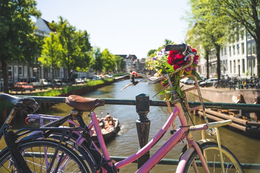 Amsterdam: Countryside Bike Tour - Buiksloterweg and the ride back
