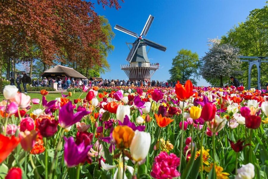 Amsterdam: Day Tour Keukenhof and Zaanse Schans Windmills - Keukenhof: give the flowers the time they deserve